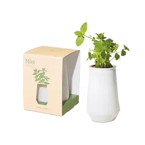 Modern Sprout Tapered Tumbler Grow Kit